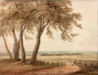Blick von Polesden, Surrey, 1800